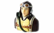 ESM American Pilot
